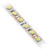 Taśma Flash 3528, 600 LED neutralny biały, 48W/5m bez żelu 8mm, Rolka 50m, 12V - obrazek 2